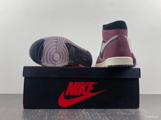 Jordan Gore-Tex Air Element 1 DB2889-500 0724
